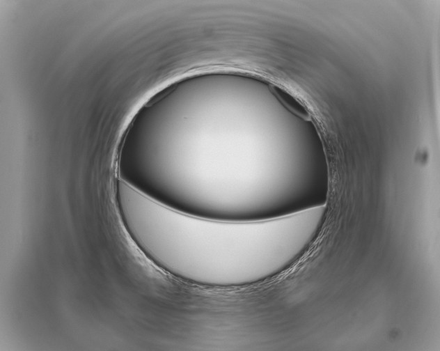 X0000096491524200801241158