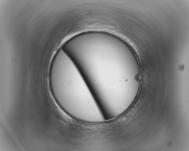 X0000096491525200801241158