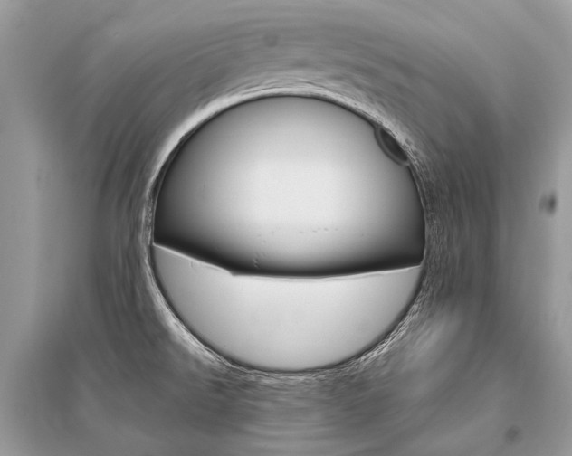 X0000096491526200801241158