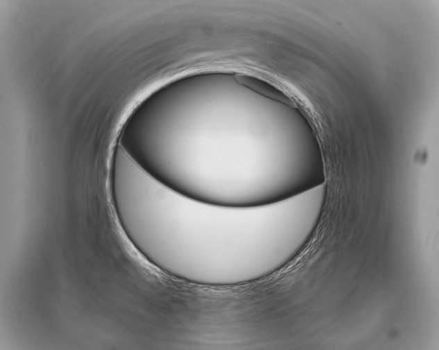 X0000096491528200801241158