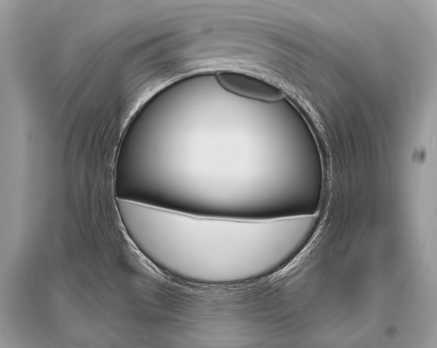 X0000096491529200801241158