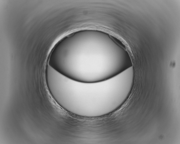 X0000096491530200801241158