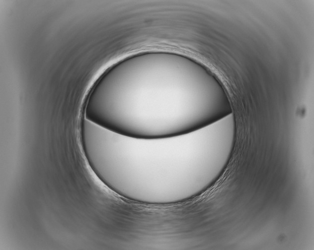 X0000096491531200801241158
