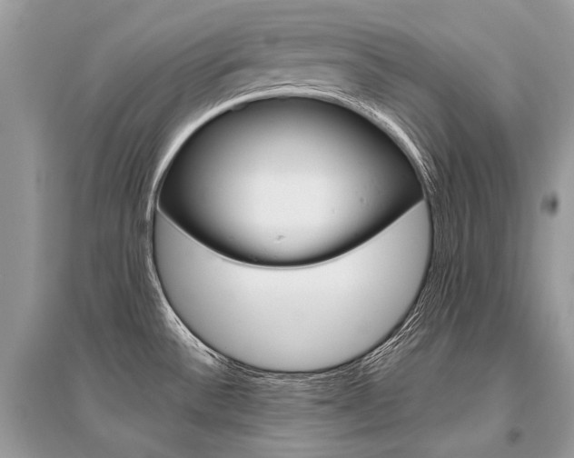 X0000096491532200801241158