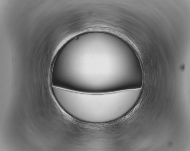 X0000096491533200801241158