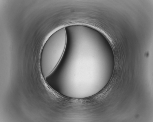 X0000096491534200801241158
