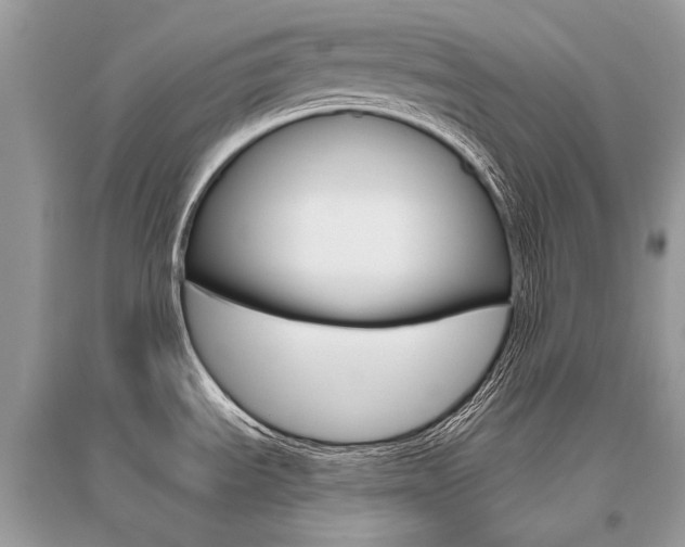 X0000096491535200801241158
