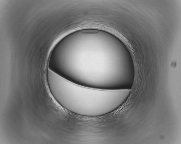 X0000096491536200801241158