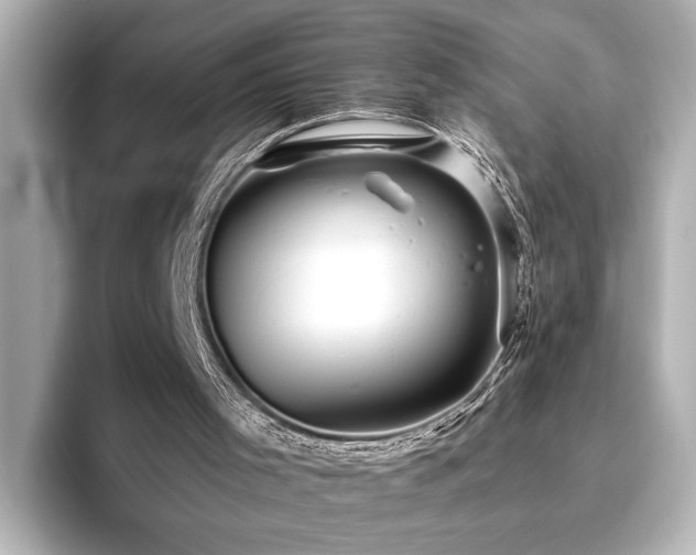 X0000096490001200801241514