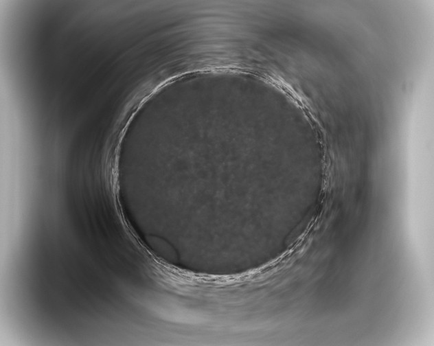 X0000096490002200801241514