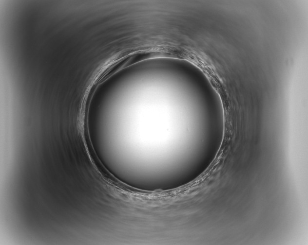 X0000096490003200801241514