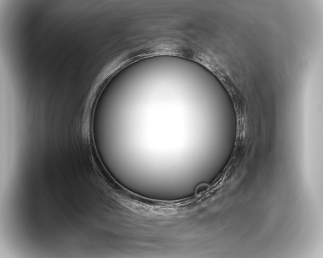 X0000096490004200801241514