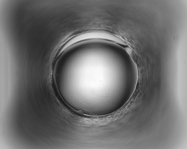 X0000096490005200801241514