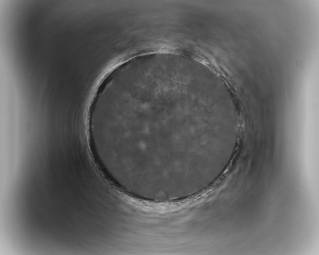 X0000096490006200801241514