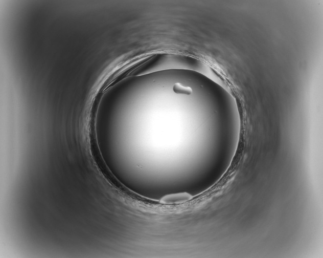 X0000096490007200801241514