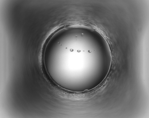 X0000096490008200801241514