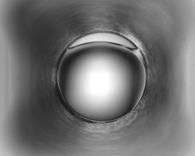 X0000096490009200801241514