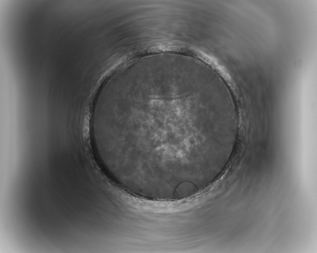 X0000096490010200801241514