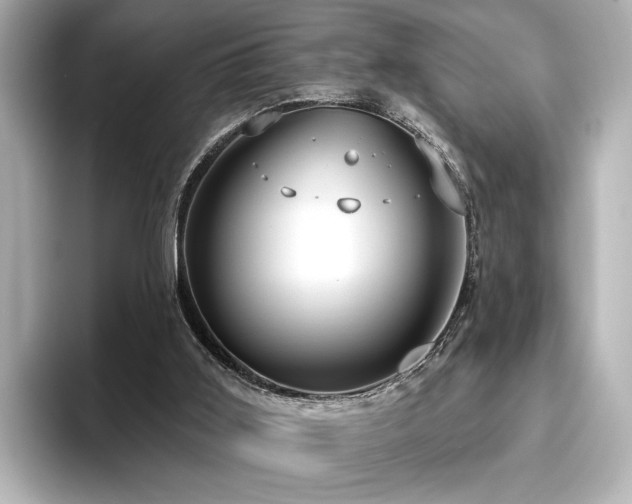 X0000096490011200801241514