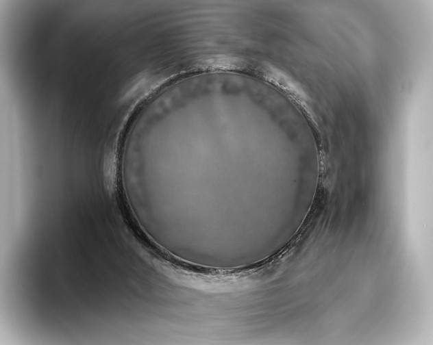 X0000096490012200801241514