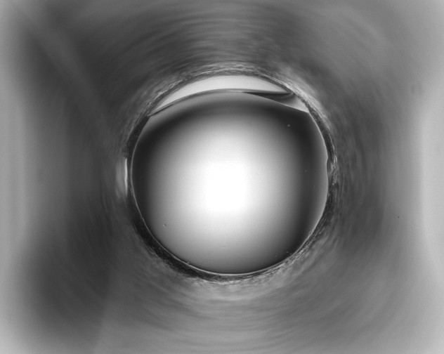 X0000096490013200801241514