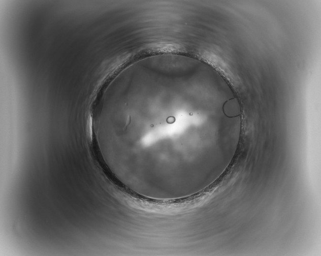 X0000096490014200801241514