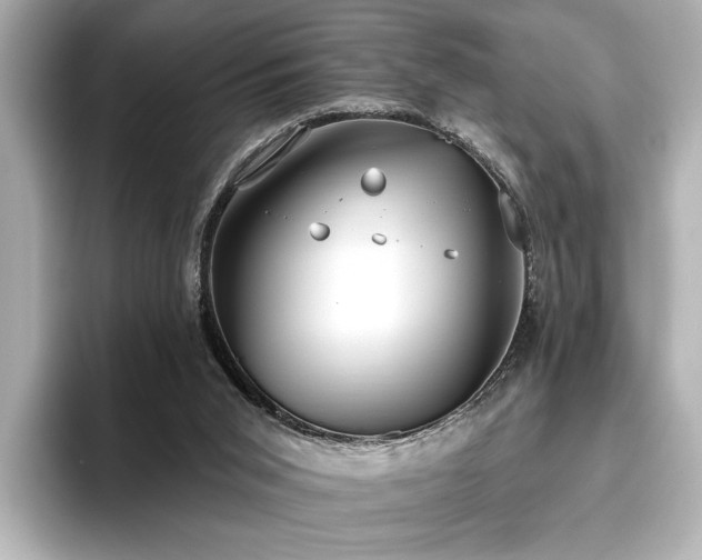 X0000096490015200801241514