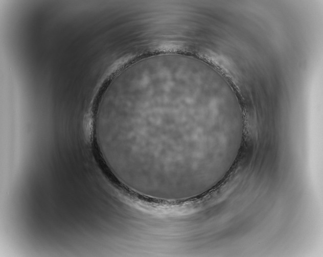 X0000096490016200801241514