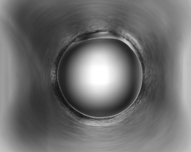 X0000096490017200801241514