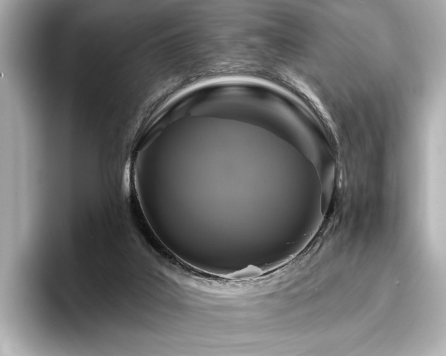 X0000096490019200801241514