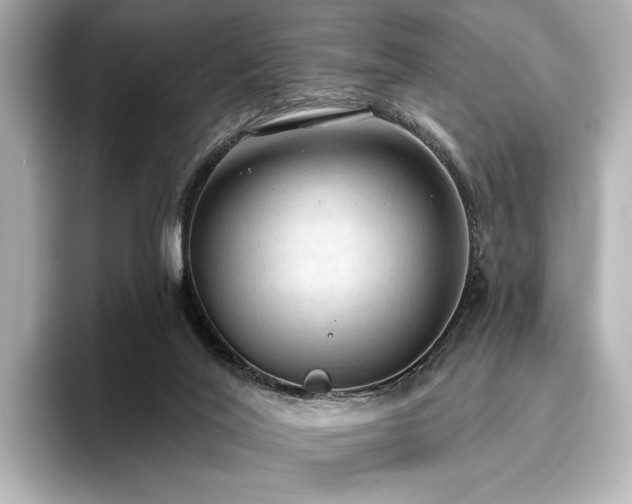 X0000096490020200801241514