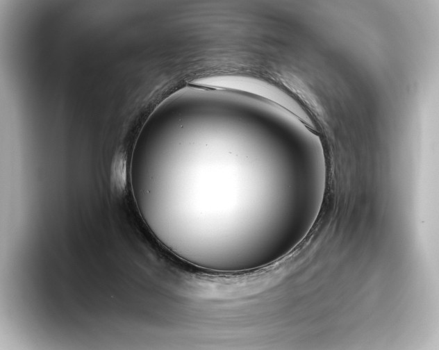 X0000096490021200801241514