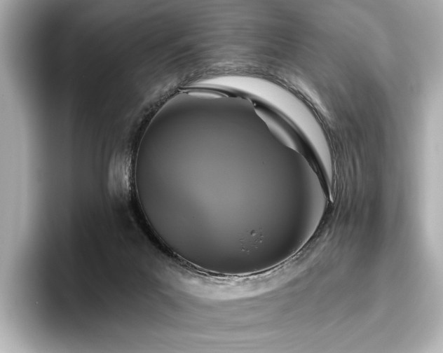 X0000096490023200801241514