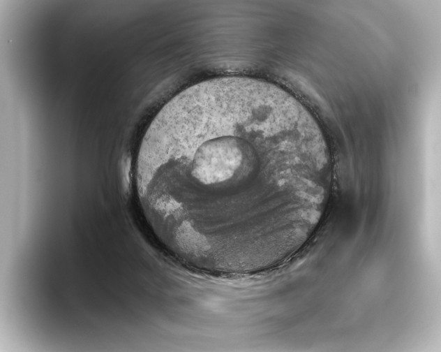 X0000096490024200801241514