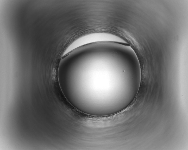 X0000096490025200801241514