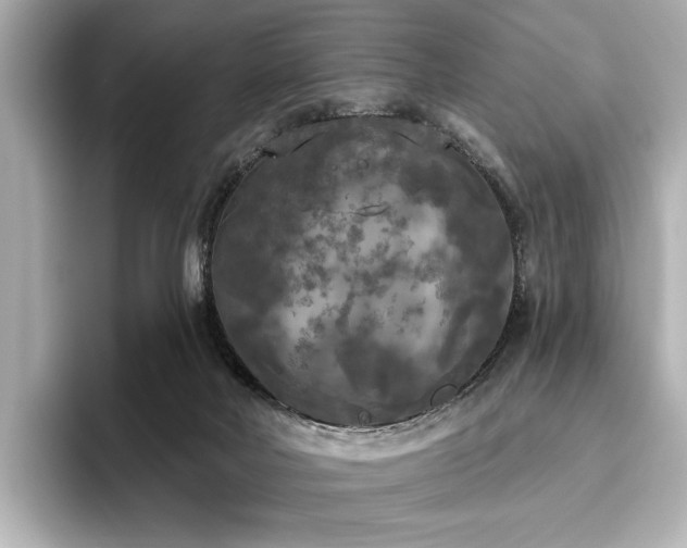 X0000096490026200801241514