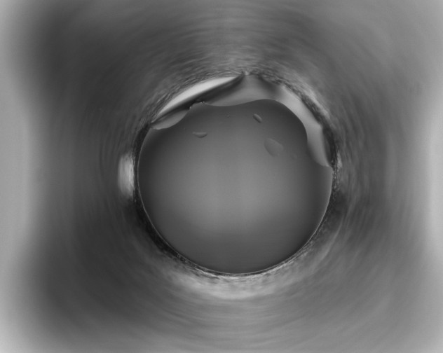 X0000096490027200801241514