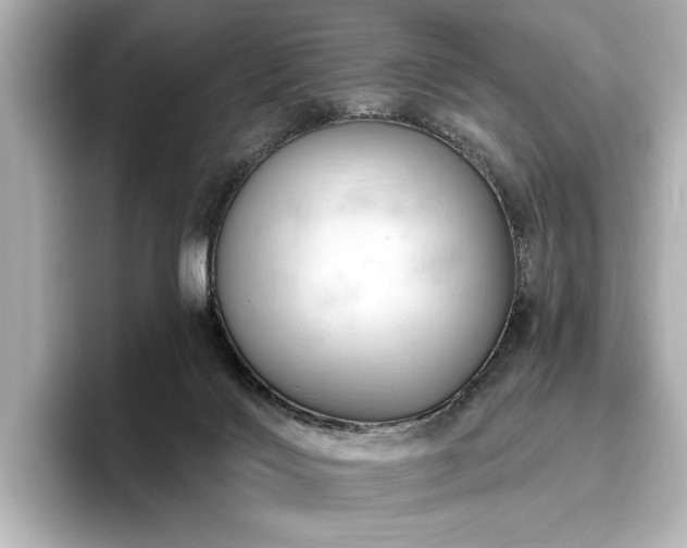 X0000096490028200801241514