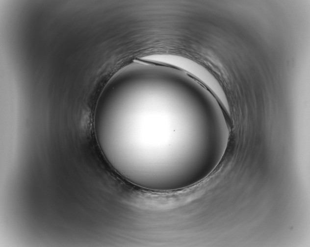 X0000096490029200801241514