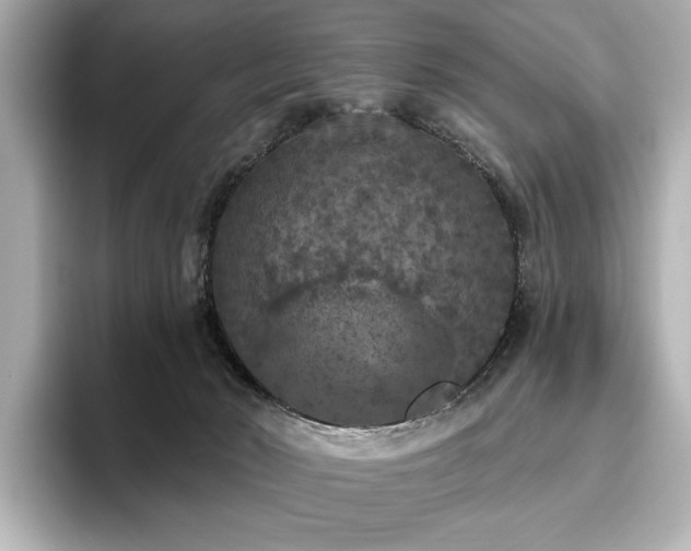 X0000096490030200801241514