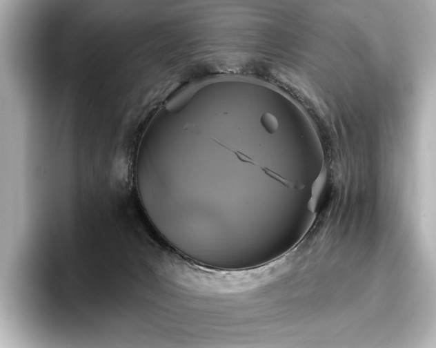 X0000096490031200801241514