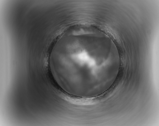 X0000096490032200801241514