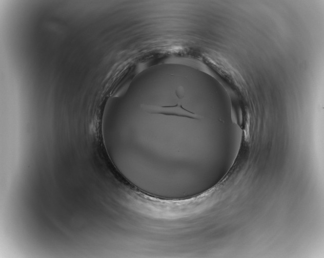 X0000096490035200801241514