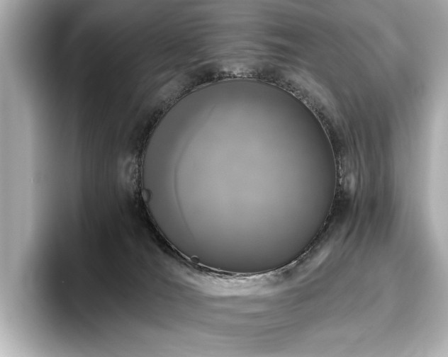 X0000096490036200801241514