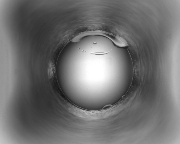 X0000096490038200801241514