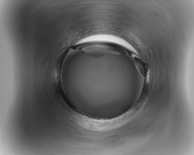 X0000096490039200801241514