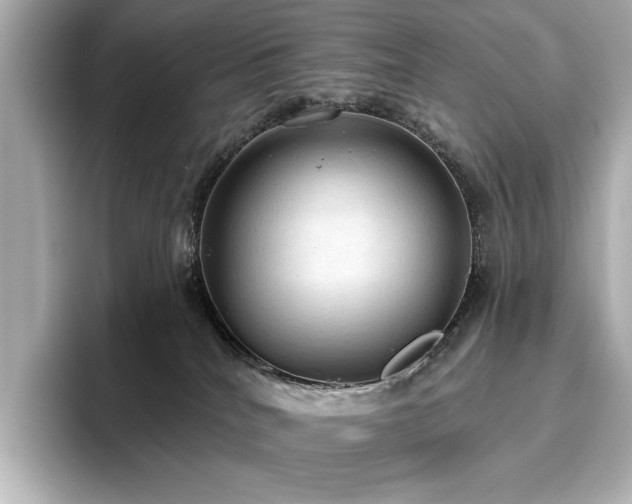 X0000096490040200801241514