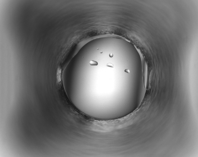 X0000096490041200801241514