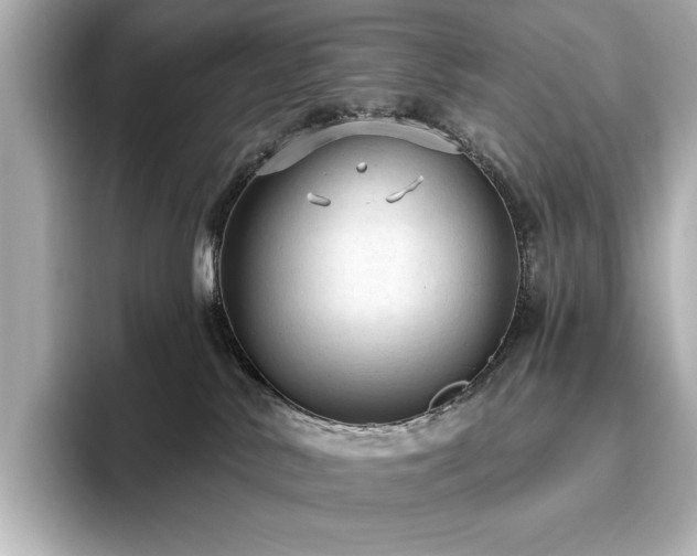 X0000096490042200801241514