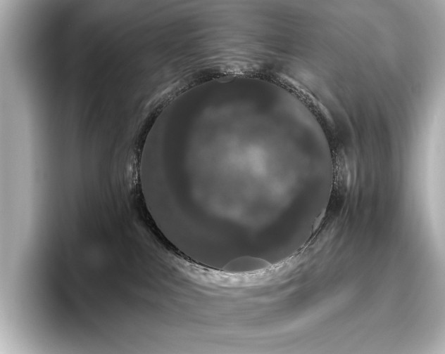 X0000096490043200801241514